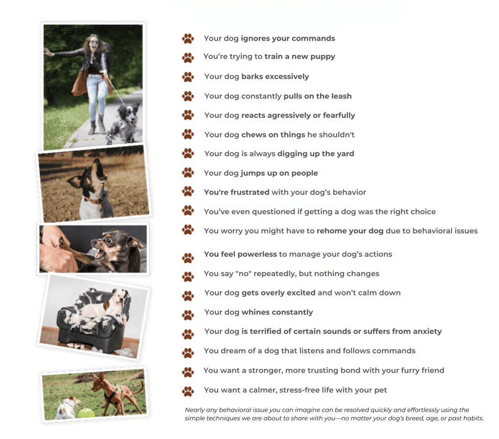 Bad Behaviour – Desktop Version 1080-x-950-px-.png Bad Behaviour - Desktop Version 1080-x-950-px-.png